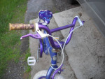 Schwinn BMX bike 20" Delite