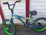 18"boys genesis glitch