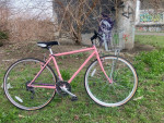 Schwinn w/front basket