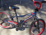 20"boys schwinn falcon