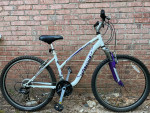 Schwinn Women's Ranger Mountain Bike