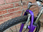 Schwinn Women's Ranger Mountain Bike