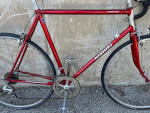 Devil Horns - Nishiki International - 10 Speed