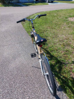 Womens Schwinn 26in. Hybrid Skyliner