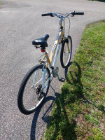 Womens Schwinn 26in. Hybrid Skyliner