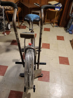 Schwinn Airdyne Exercise Bike