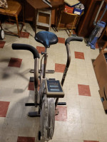 Schwinn Airdyne Exercise Bike
