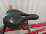 Tandem Burley Rock-n Roll