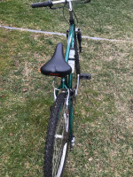 Trek bike
