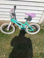 Magna 16'' bike
