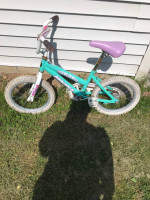 Magna 16'' bike