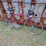 Schwinn World Sport 12 Speed With Mechanical Speedo