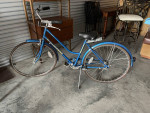 Vintage Collegiate Schwinn 3 speed