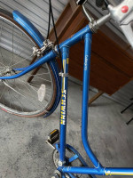 Vintage Collegiate Schwinn 3 speed