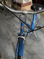 Vintage Collegiate Schwinn 3 speed