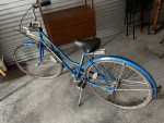 Vintage Collegiate Schwinn 3 speed