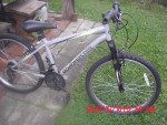 roadmaster bike