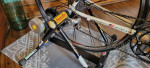 TREK 2100