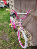 19 INCH  BIKE COSTAR/PINK