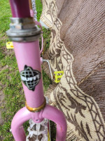 19 INCH  BIKE COSTAR/PINK
