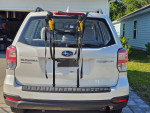Saris Sentinel 2-Bike Trunk-Mounted Rack