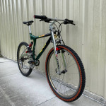 Proflex Beast full suspension MTB