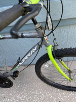 Murray Montaro Mountain Bike