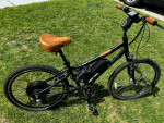 Electric bikes