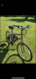 Electric bikes
