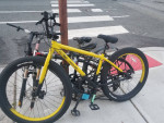Redline RL 275