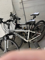 2 Trek Bikes
