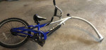Trek Mountain Train Tagalong bike trailer