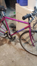 Schwinn Crisscross bike