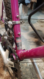 Schwinn Crisscross bike