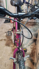 Schwinn Crisscross bike