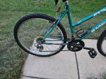 18 Speed  Adult Mountain Bike