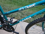 18 Speed  Adult Mountain Bike