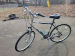 Fuji Crosstown Comfort Bike (XL Frame)