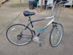 Fuji Crosstown Comfort Bike (XL Frame)