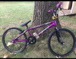 Expert DK swift Custom race bike.