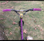 Expert DK swift Custom race bike.
