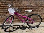 Trek 24 inch Girls Bicycle