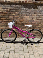 Trek 24 inch Girls Bicycle