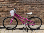 Trek 24 inch Girls Bicycle