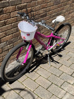 Trek 24 inch Girls Bicycle