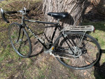 Raleigh Capri