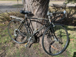 Raleigh Capri