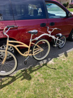 Firmstrong Cruiser/Weeride Co-Pilot Trailer