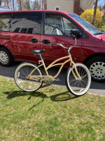 Firmstrong Cruiser/Weeride Co-Pilot Trailer