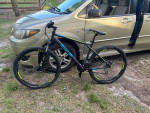 Gt mountain bike